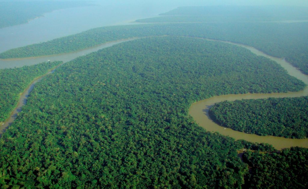 Amazzonia: la foresta è così umida che non può prendere fuoco, ma allora cosa brucia? 1