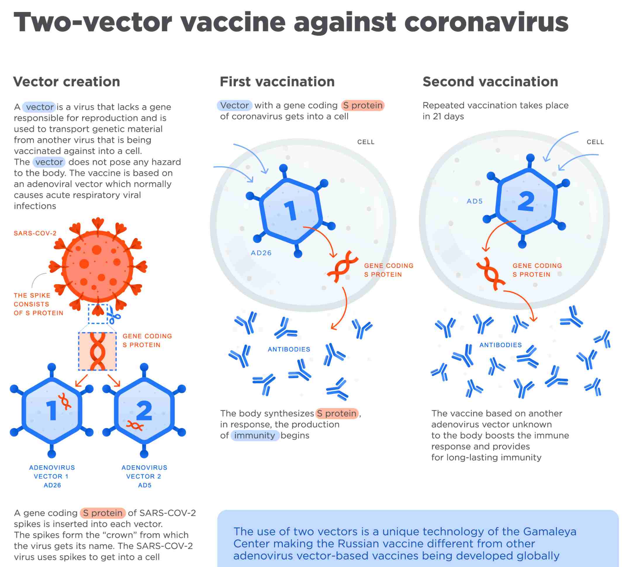 Valanghe di critiche sul vaccino russo anti-covid ma sarebbero "infondate e legate alla concorrenza" 4