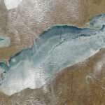 MODIS Satellite Image